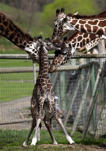 Doting family