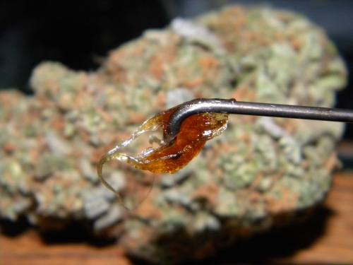 dabbydabs:  Blue Dream 