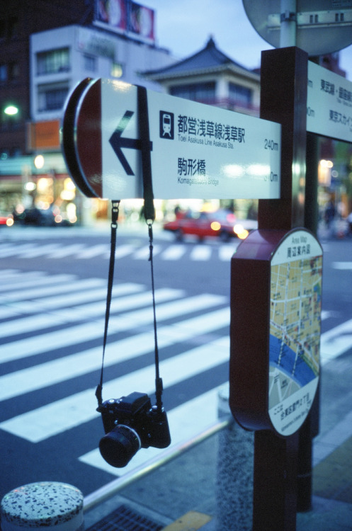 fernlox:  Lost in Translation (by Kiyouyou)