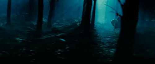 We Are All Mad Here.