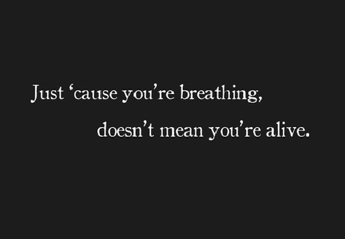 Everything is Temporary