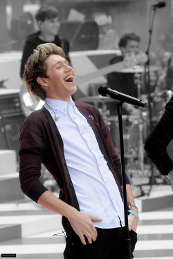 [enter Niall's laugh here]