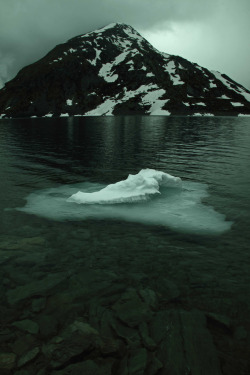 oivm:  Little iceberg 