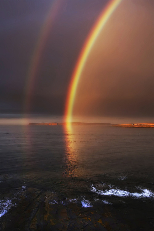 vurtual:by Stewart Watt