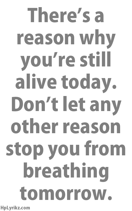 hplyrikz:  The best quotes on Tumblr.