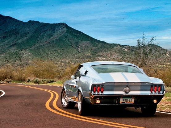 lalulutres:  ‘67 Ford Mustang Fastback