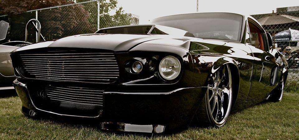Ford Mustangs