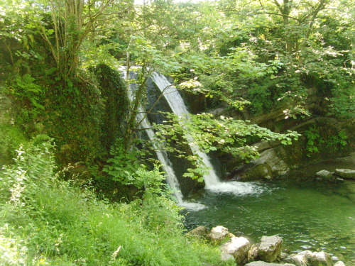 balitropics: waterkid:  vwcampervan-aldridge:  The waterfall “Janets Foss” - Malhamdale, Malham, Yor