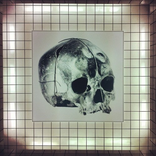 Skull #beaubourg #vanité #art #contemporaryart #mementomori #painting