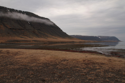 definitelydope: Bardastrandarsysla, Iceland