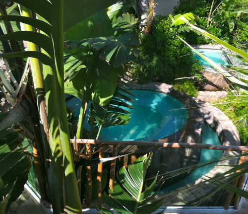 exoticauhl: hakuna-island: tropical ☮☯❀ welcome to my paradise ❀☯☮