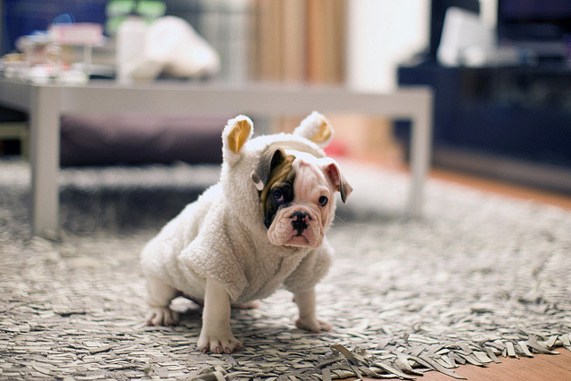 baby ^^