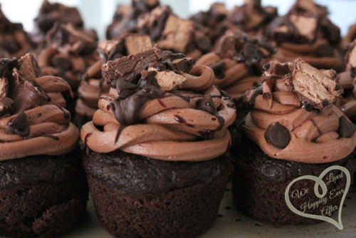 gastrogirl: peppermint qua-triple chocolate cupcakes.