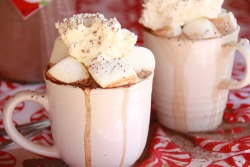 gastrogirl:  creamy homemade hot cocoa. 