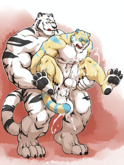 Kabutocub
