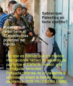 humorhistorico:  La realidad Palestina, el pueblo encarcelado en su propia patria.