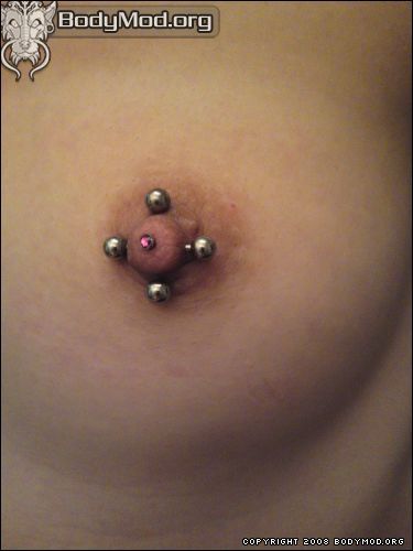 Porn nipple microdermals! Â I think they are photos