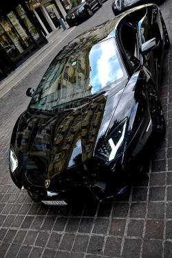 black-luxury:  Black Luxury! 