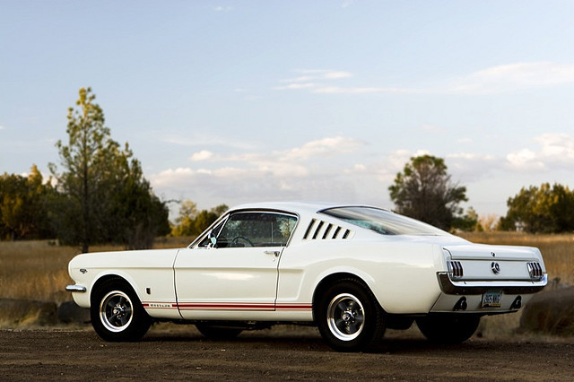 Ford Mustangs