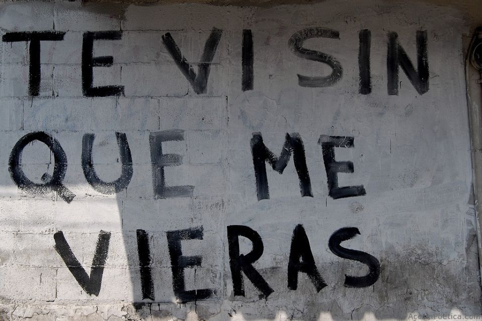 Disfruta !