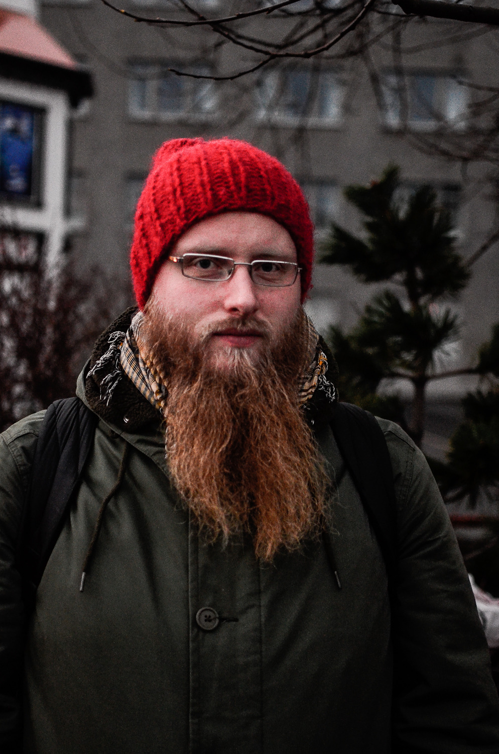 BEARDS IN ICELAND