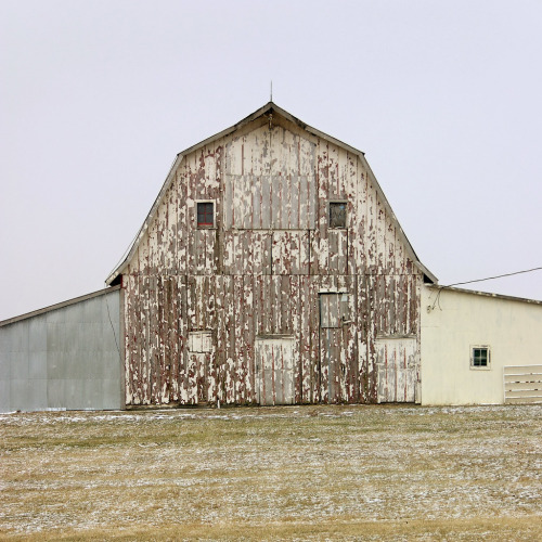 mattniebuhrdrawings:  Untitled [Barn with lean-to’s, North elevation,  Southern Iowa] Photography: 2006 Matt Niebuhr one from the series self published in first draft form here:   “Portraits: Faces and Profiles of Utility”