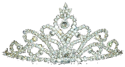 purebeachboho:  pure   centralise:   i made a transparent tiara so my blog can be a princess like me   love   
