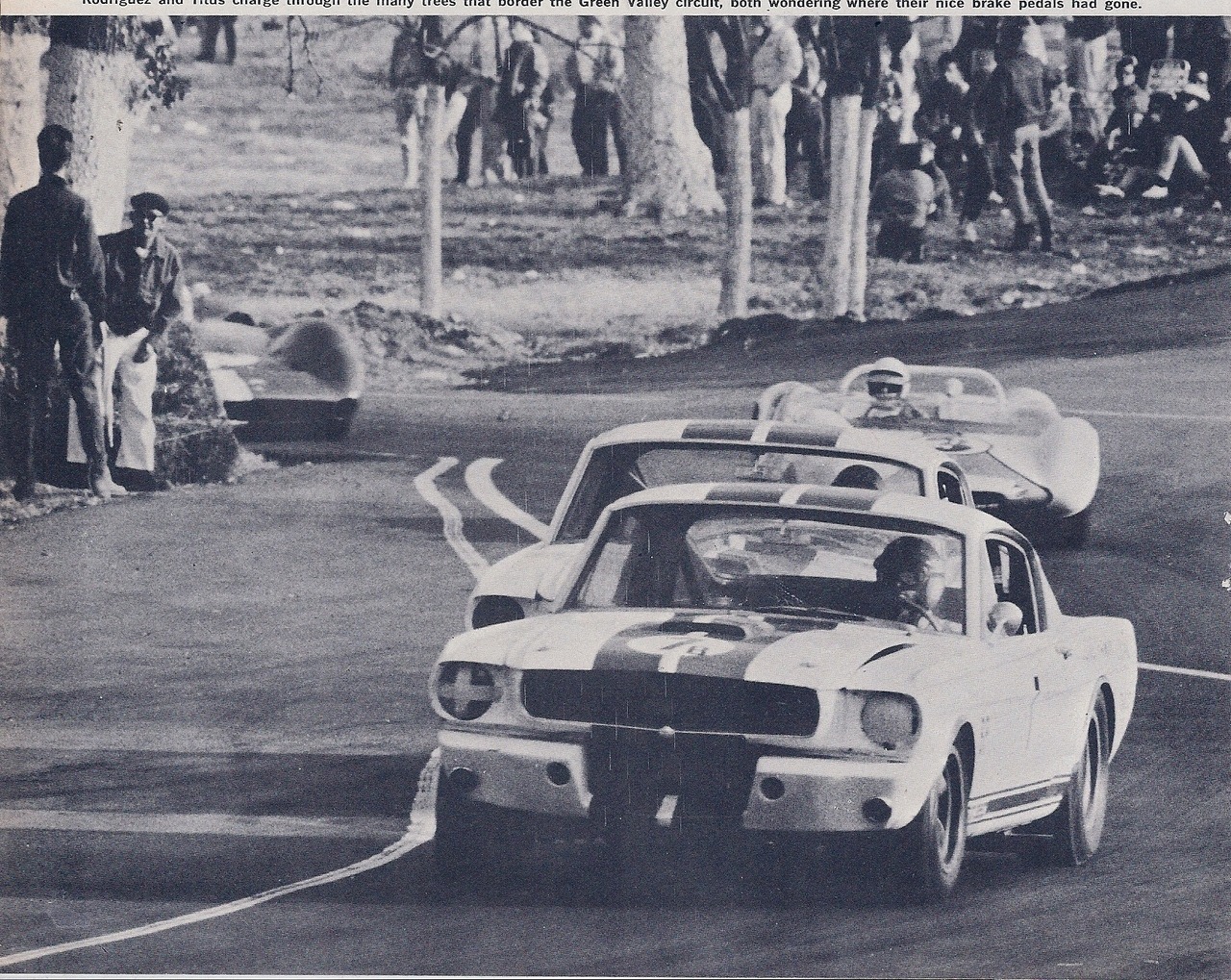 murdercycles:  Shelby GT 350s battle for glory. green valley texas scca Sports Car