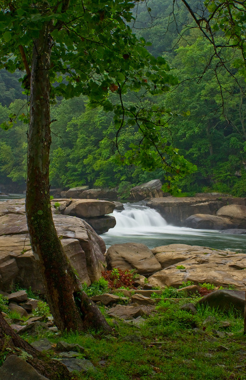 laevitas:  Valley Falls Summer Morning  want more posts like this? check out my blog!