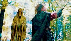 lotr meme: FIVE FIGHT SCENES [1/5]“A mile, maybe, from Parth Galen in a little glade not far from th