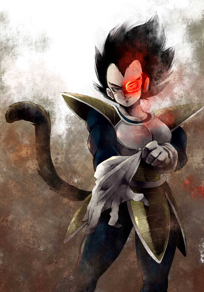 Tenkaichi Budokai