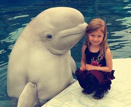 by: @gabswinkler on Twitpic on We Heart It. http://weheartit.com/entry/12560020