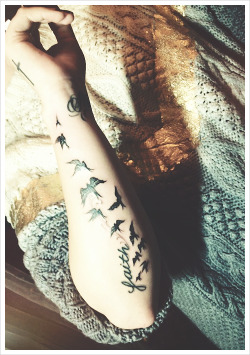 alldevonne:  “Birds signify freedom/guides,