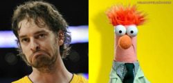 nbadoppelgangers:  Pau Gasol | Beeker (submitted