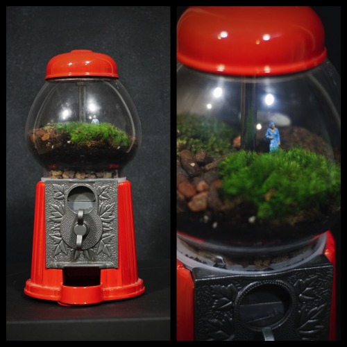 Gum-Ball Machine Terrarium