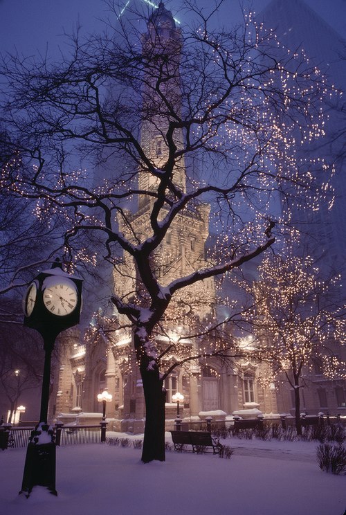 missam3r1ca:  elephant—poop:  i hate winter. 