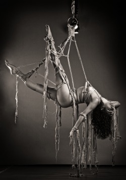 eroticwitch:  EXQUISITE IN ROPES.