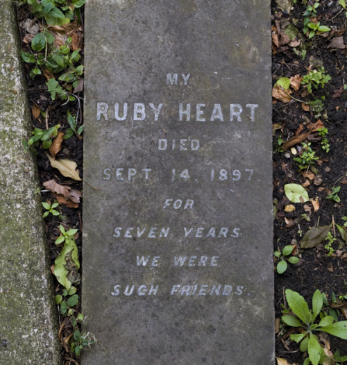 odditiesoflife:itcouldbeamazing:The Pet Cemetery of Hyde Park Nestled within the bushes of Victoria 