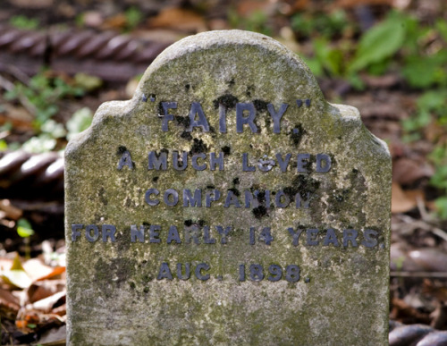 odditiesoflife:itcouldbeamazing:The Pet Cemetery of Hyde Park Nestled within the bushes of Victoria 