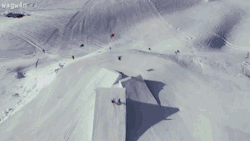 wagw4n:  Video here. Gif by me.
