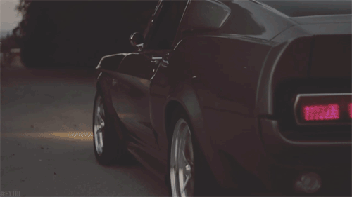 fuckyeahthebetterlife:  Eleanor