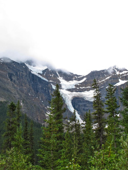 danlophotography:  Jasper National Park, Canada 