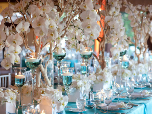 Manzanita wedding tree centerpiece