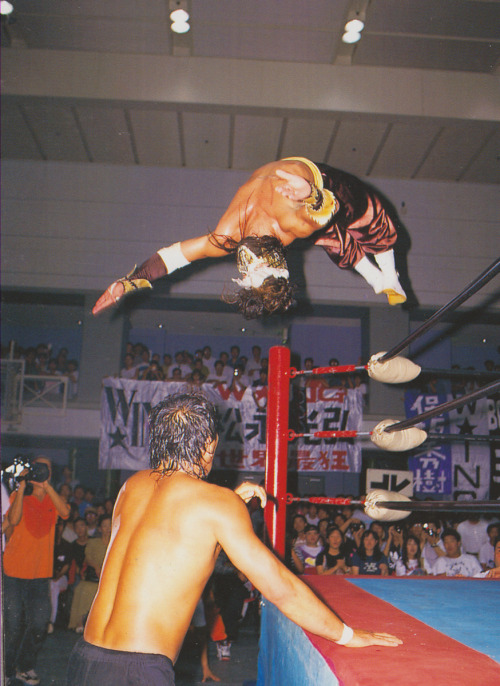 fishbulbsuplex:Hayabusa