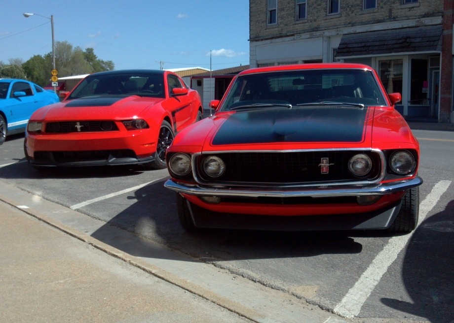 Ford Mustangs