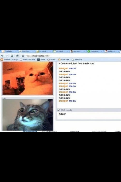 gamesandfeels:  Couldn’t stop laughing for a minute straight.