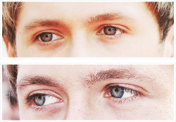 rammones:  Niall Horan + eyes 
