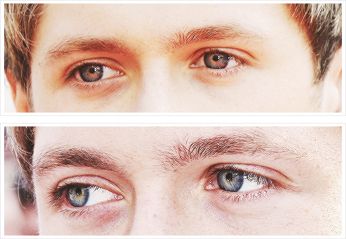 rammones:  Niall Horan + eyes  adult photos