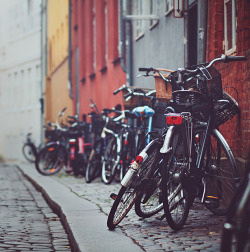 ysvoice:  | ♕ |  Bicycles - Gamla Stan, Copenhagen  | by © Chaulafanita