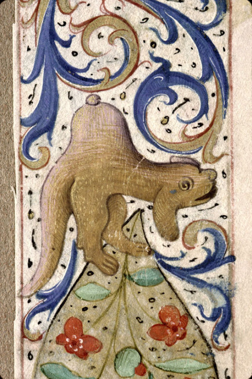 titdogBook of Hours, Paris ca. 1480.Nice, BM, ms. 322, fol. 23r